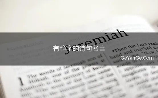 有静字的诗句名言