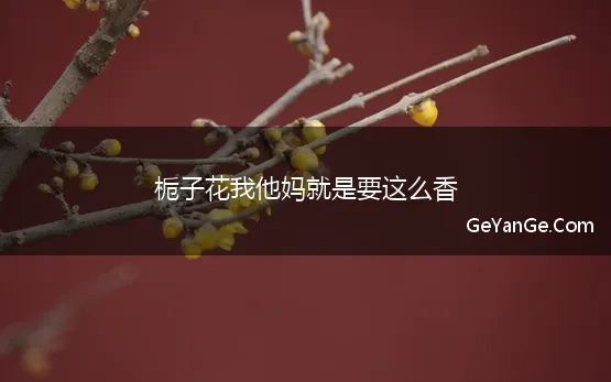 汪曾祺赞美栀子花