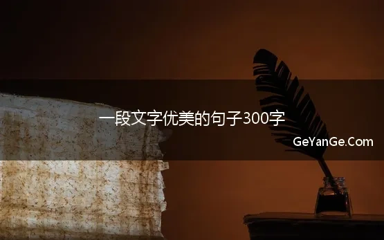 一段文字优美的句子300字