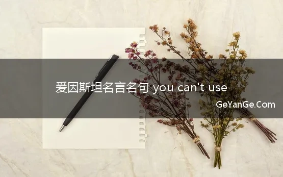 爱因斯坦名言名句 you can't use