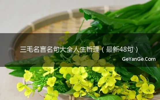 三毛<a href=http://www.geyange.com/mingyan/2752.html target=_blank class=infotextkey>名言名句大全</a>人生哲理