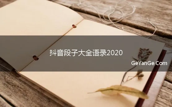 抖音段子大全语录2020