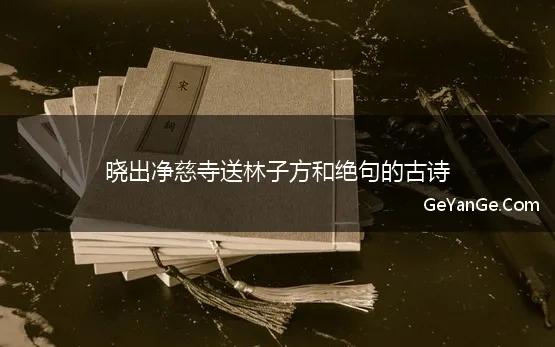 晓出净慈寺送林子方和绝句的古诗