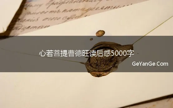 心若菩提曹德旺读后感5000字