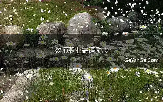 教师职业寄语励志