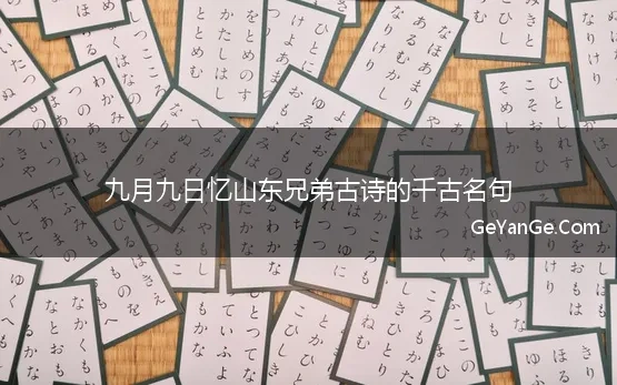 九月九日忆山东兄弟诗中的千古名句是哪句