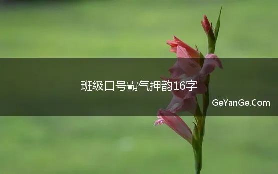 班级口号押韵霸气16字