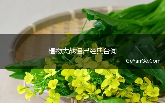 植物大战僵尸经典台词