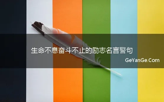 奋斗不止的名言警句