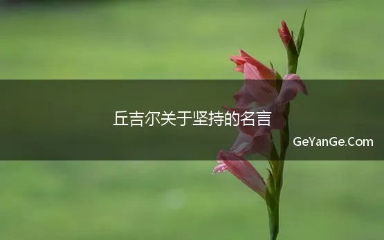 丘吉尔关于坚持的名言