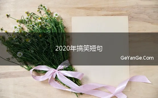 2020年搞笑短句