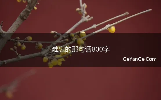 难忘的那句话800字