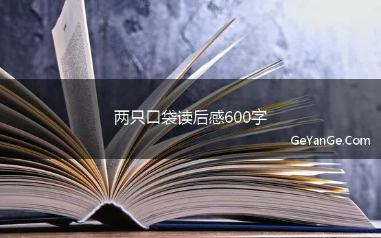 两只口袋读后感600字