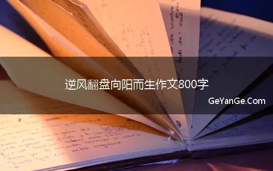 逆风翻盘向阳而生作文800字