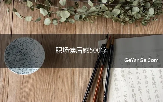 职场读后感500字