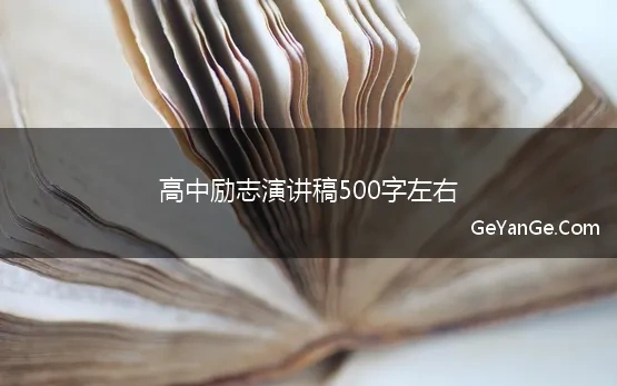 高中生奋斗励志演讲稿500字