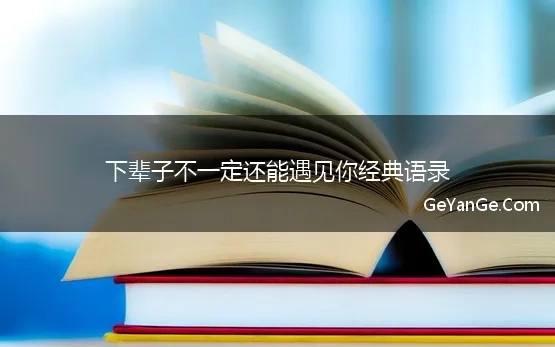 下辈子不一定还能遇见你经典语录