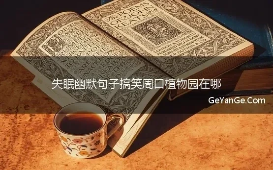 失眠搞笑短句子