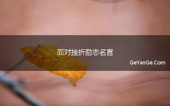 面对挫折励志名言