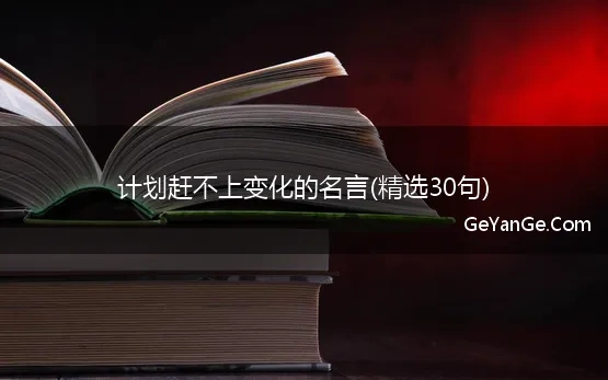 关于计划赶不上变化的名言