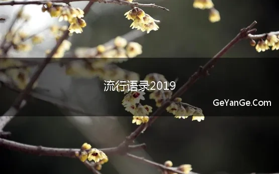 流行语录2019