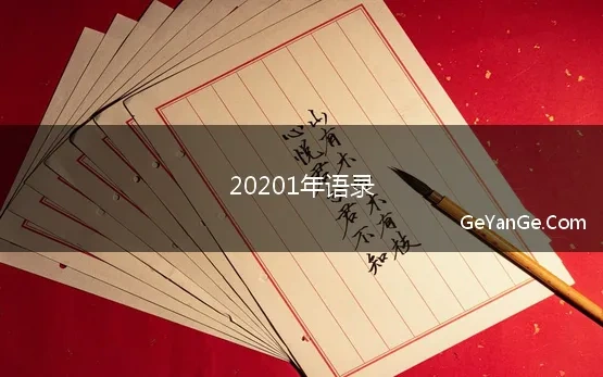 20201年语录