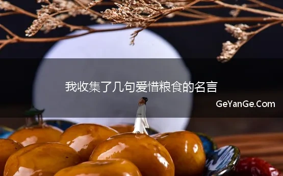 我收集了几句爱惜粮食的名言