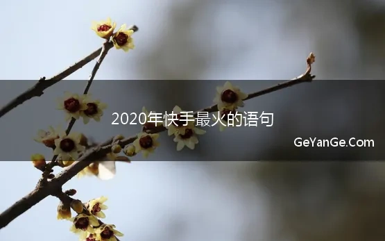 2020最潮快手句子