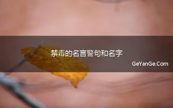 禁毒的名言警句和名字