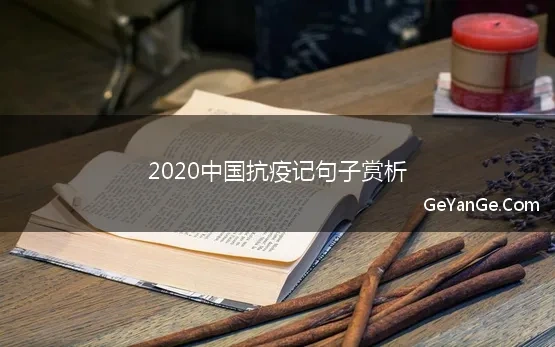 2020中国抗疫记句子赏析