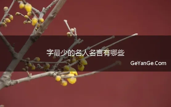 字最少的名人名言有哪些