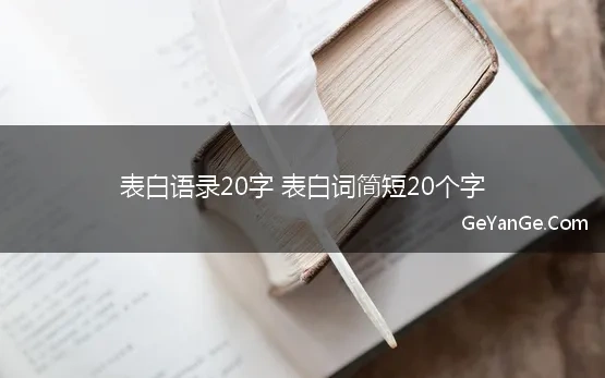 表白语录20字