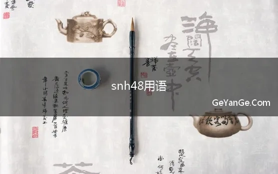 snh48用语