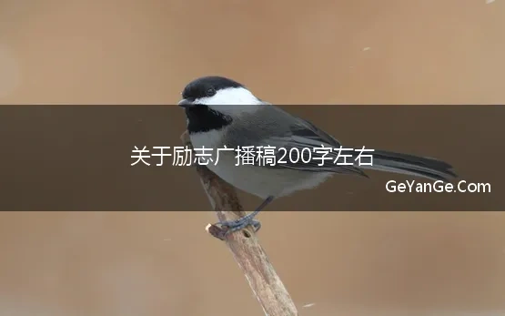 精彩人生励志广播稿200