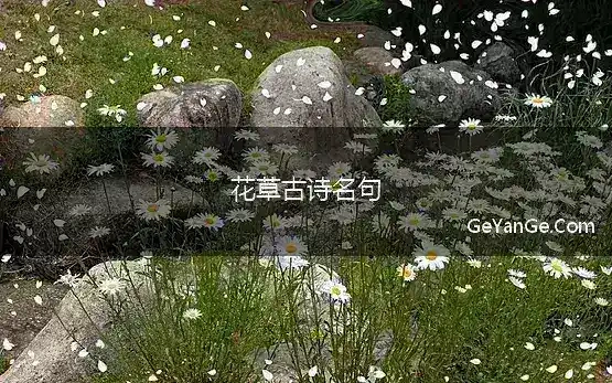 花草古诗名句