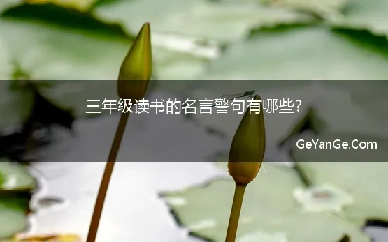 三年级读书的名言警句有哪些?