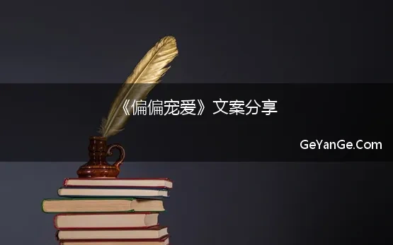 《偏偏宠爱》文案