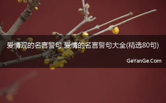 爱情观的名言警句