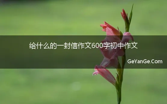 给李子柒的一封信700字作文