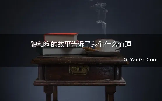 狗和狼的故事告诉我们什么道理