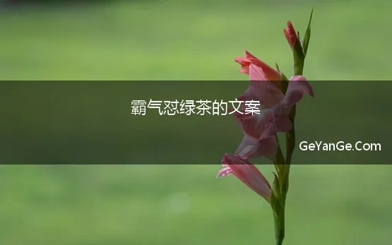 霸气怼绿茶的文案