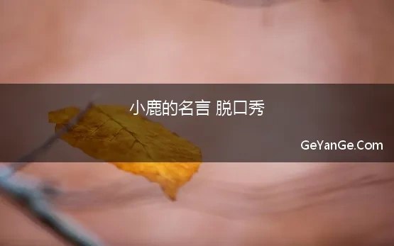 小鹿的名言 脱口秀