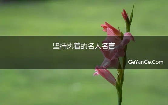 坚持执着的名人名言