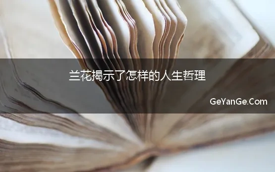 兰花揭示了怎样的人生哲理