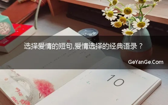 爱情选择的经典语录