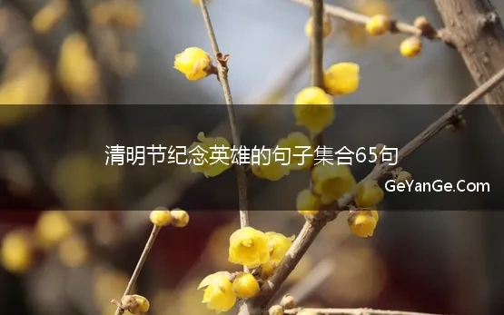 清明节纪念英雄的句子集合65句