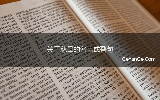 关于慈母的名言或警句