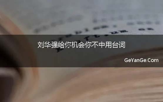 刘华强给你机会你不中用台词