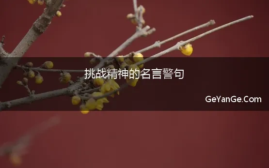 挑战精神的名言警句