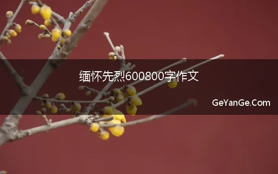 缅怀先烈立志报国作文600字